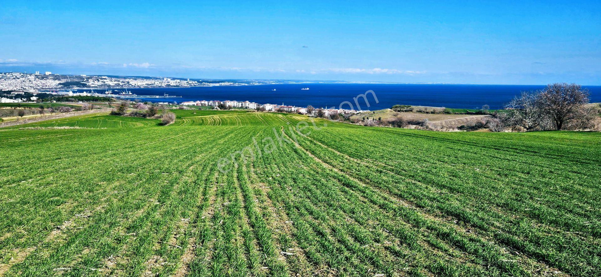 Tekirdağ Topağaç Mahallesinde Full Deniz Doğa Ve Şehir Manzara 75 Adet Villa Projeye Uygun Arazi - Görsel 3