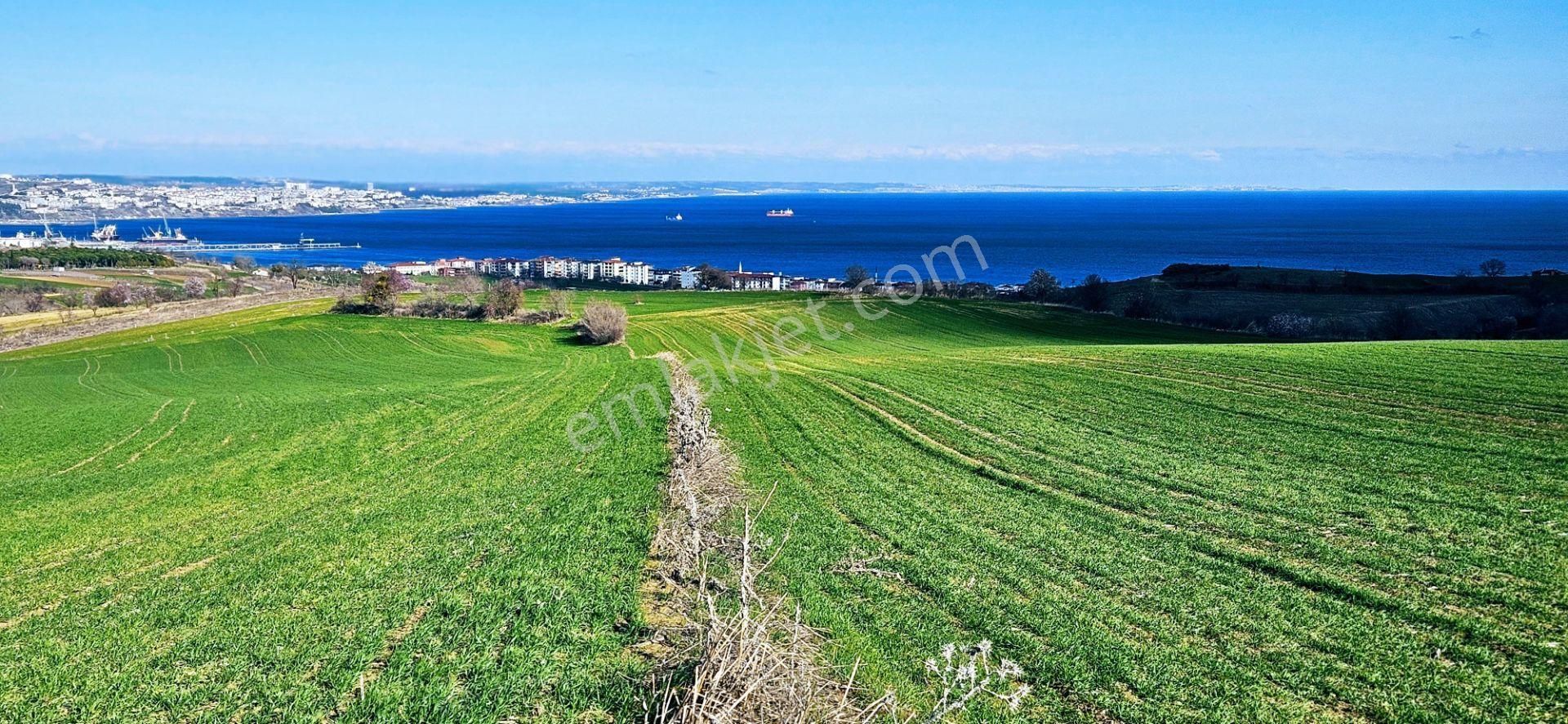 Tekirdağ Topağaç Mahallesinde Full Deniz Doğa Ve Şehir Manzara 75 Adet Villa Projeye Uygun Arazi - Görsel 27