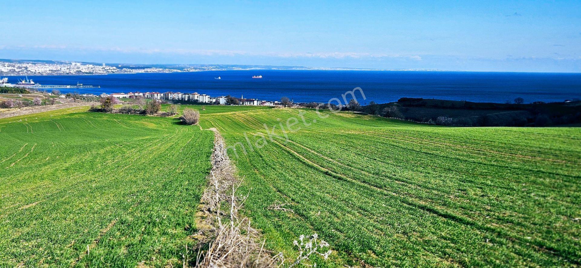 Tekirdağ Topağaç Mahallesinde Full Deniz Doğa Ve Şehir Manzara 75 Adet Villa Projeye Uygun Arazi - Görsel 9