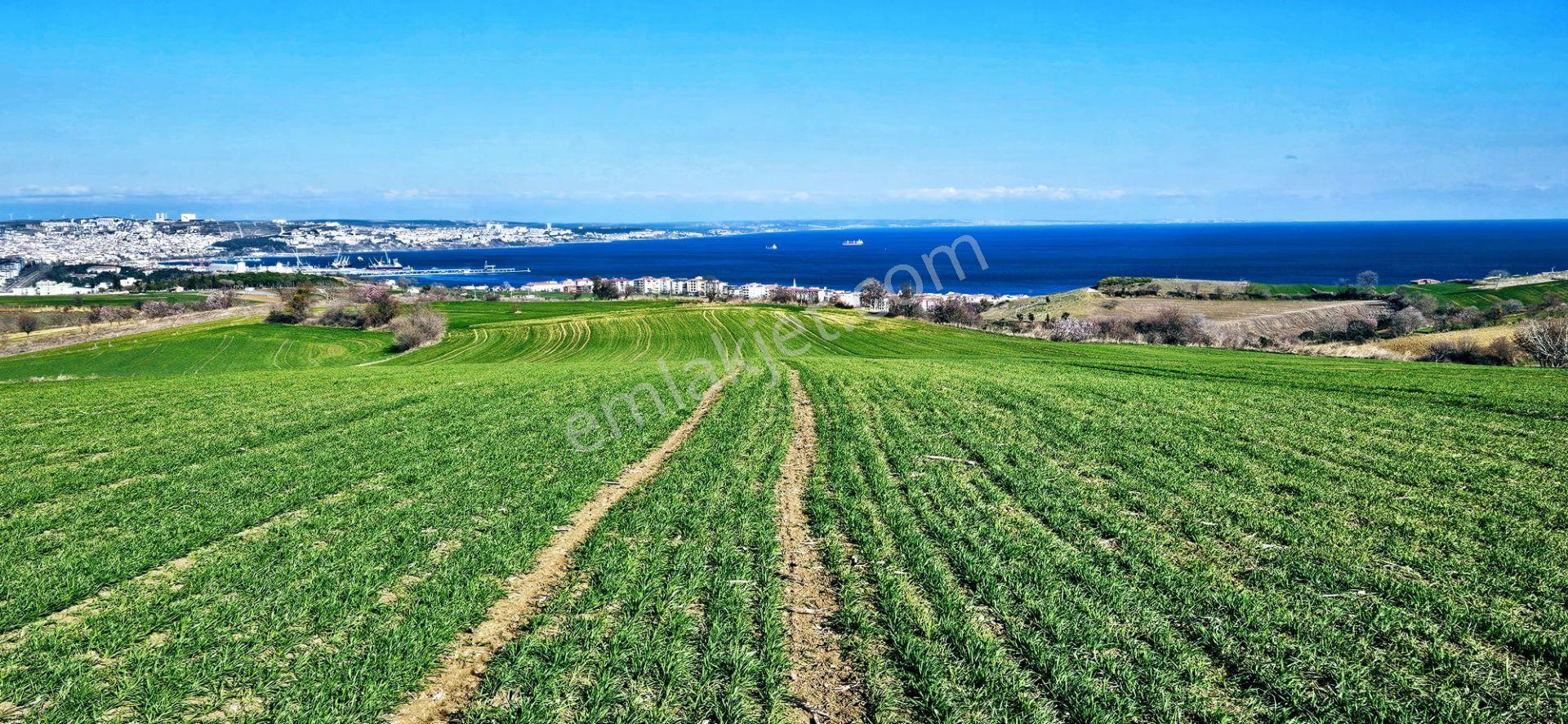 Tekirdağ Topağaç Mahallesinde Full Deniz Doğa Ve Şehir Manzara 75 Adet Villa Projeye Uygun Arazi - Görsel 16