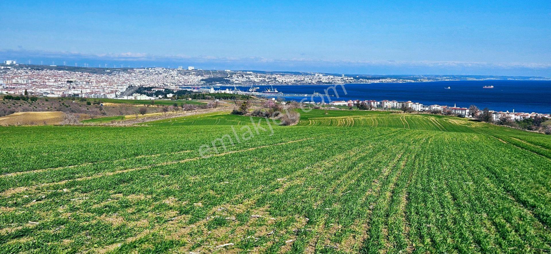 Tekirdağ Topağaç Mahallesinde Full Deniz Doğa Ve Şehir Manzara 75 Adet Villa Projeye Uygun Arazi - Görsel 31