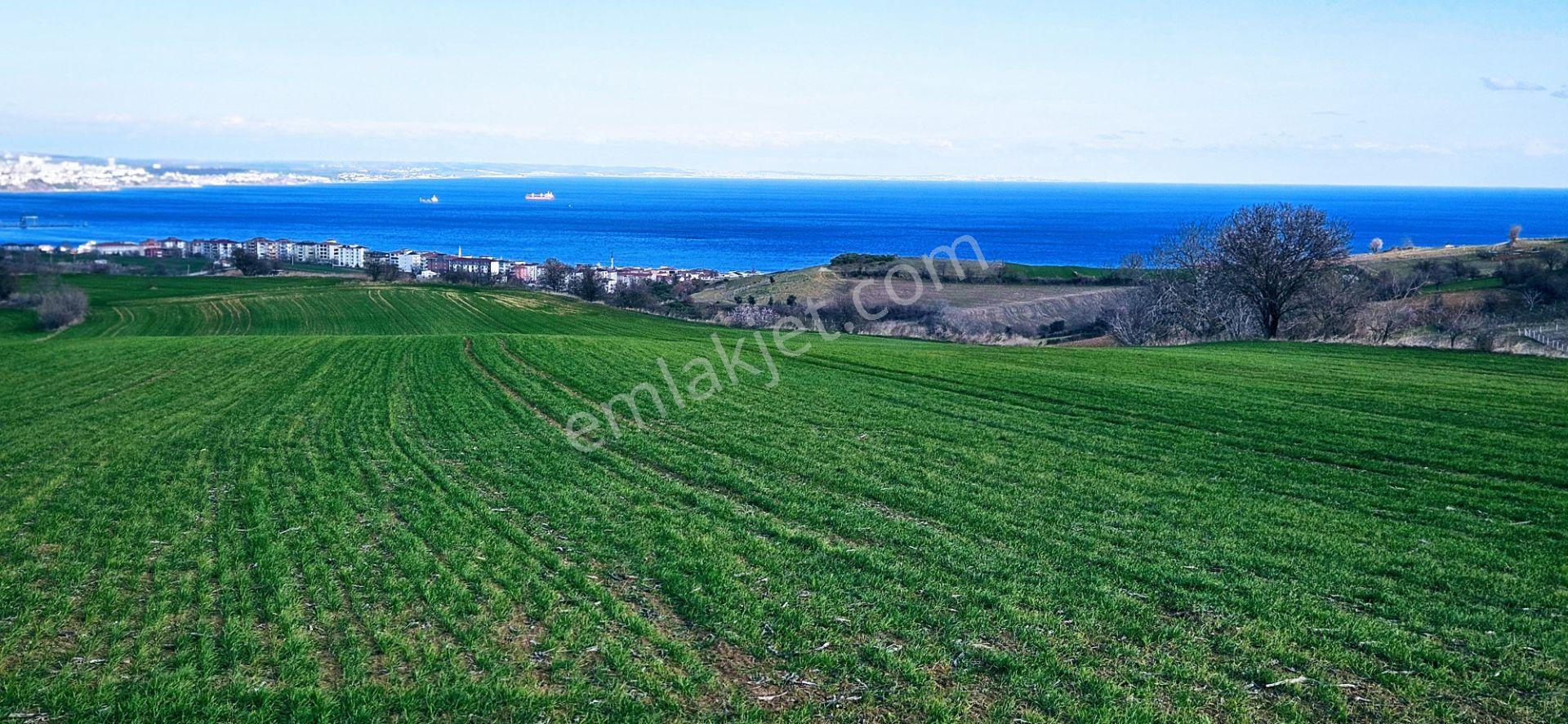 Tekirdağ Topağaç Mahallesinde Full Deniz Doğa Ve Şehir Manzara 75 Adet Villa Projeye Uygun Arazi - Görsel 28