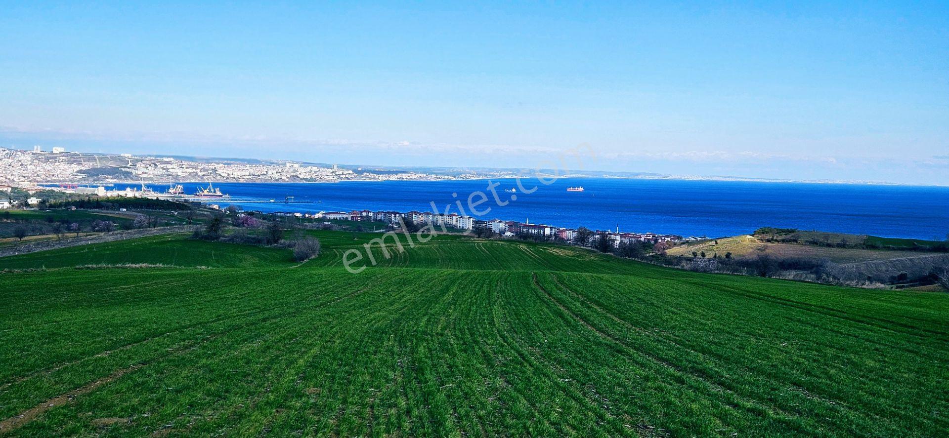 Tekirdağ Topağaç Mahallesinde Full Deniz Doğa Ve Şehir Manzara 75 Adet Villa Projeye Uygun Arazi - Görsel 30