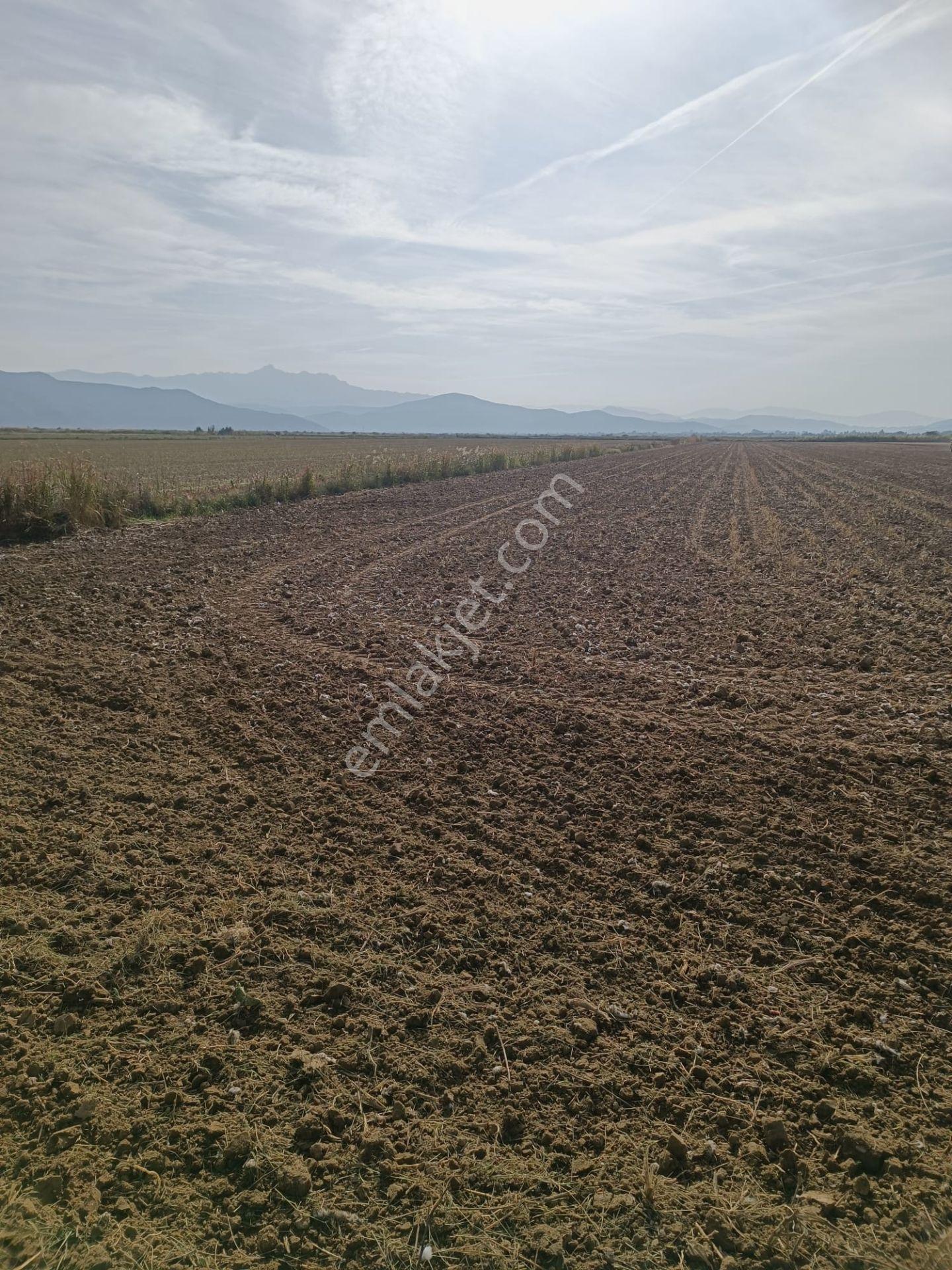 Söke Akçakaya'da 18.625 M2 Yola Cepheli Satılık Tarla - Görsel 5