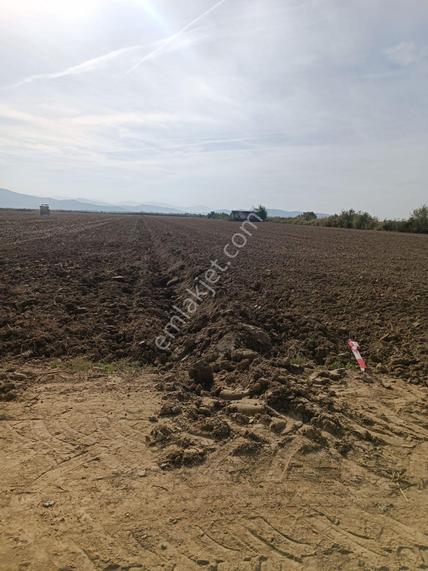 Söke Akçakaya'da 18.625 M2 Yola Cepheli Satılık Tarla - Görsel 4