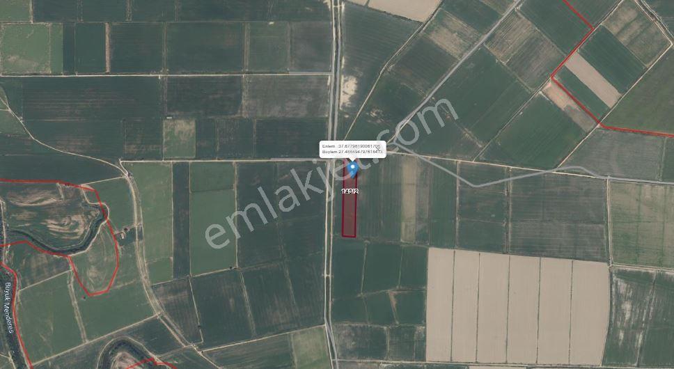 Söke Akçakaya'da 18.625 M2 Yola Cepheli Satılık Tarla
