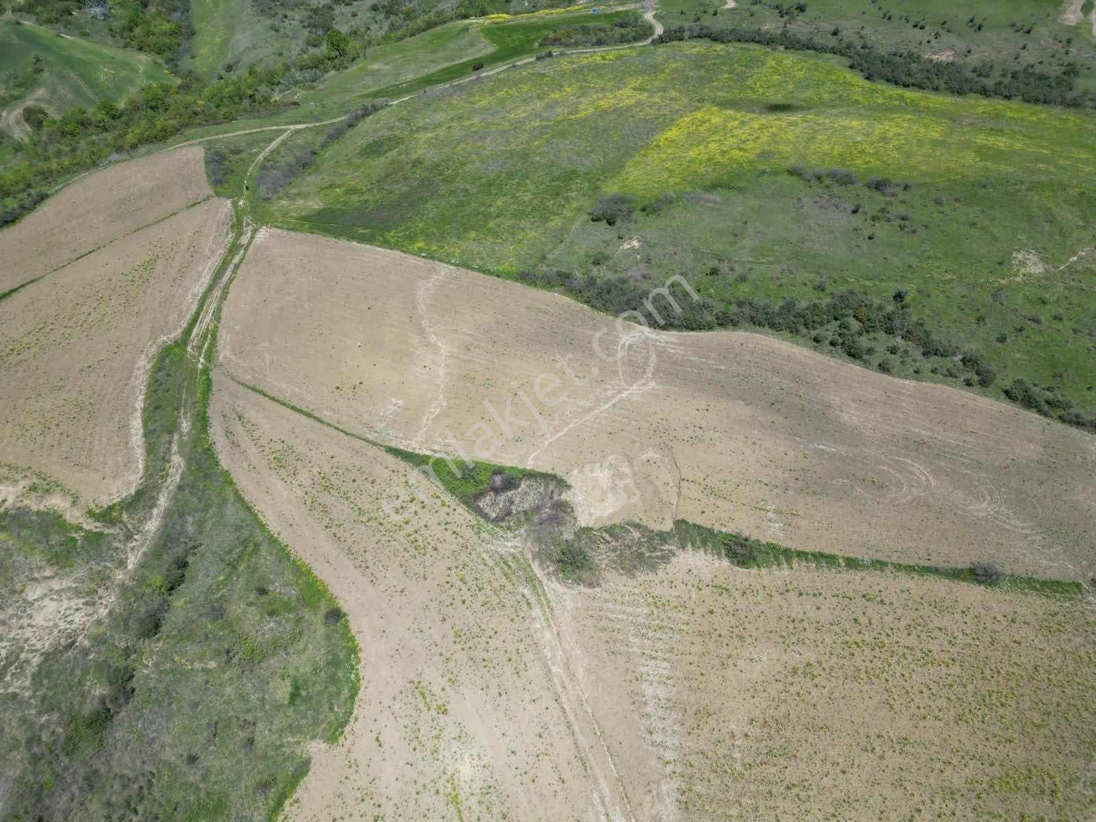 Blue Yatırım'dan Çiftlikköy İlyasköy'de 13390 M2 Tarla - Görsel 7