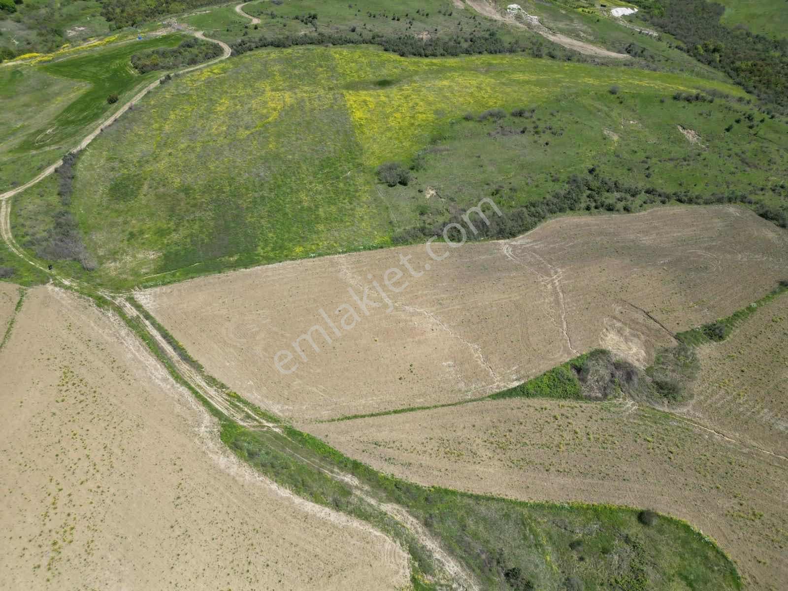 Blue Yatırım'dan Çiftlikköy İlyasköy'de 13390 M2 Tarla - Görsel 6