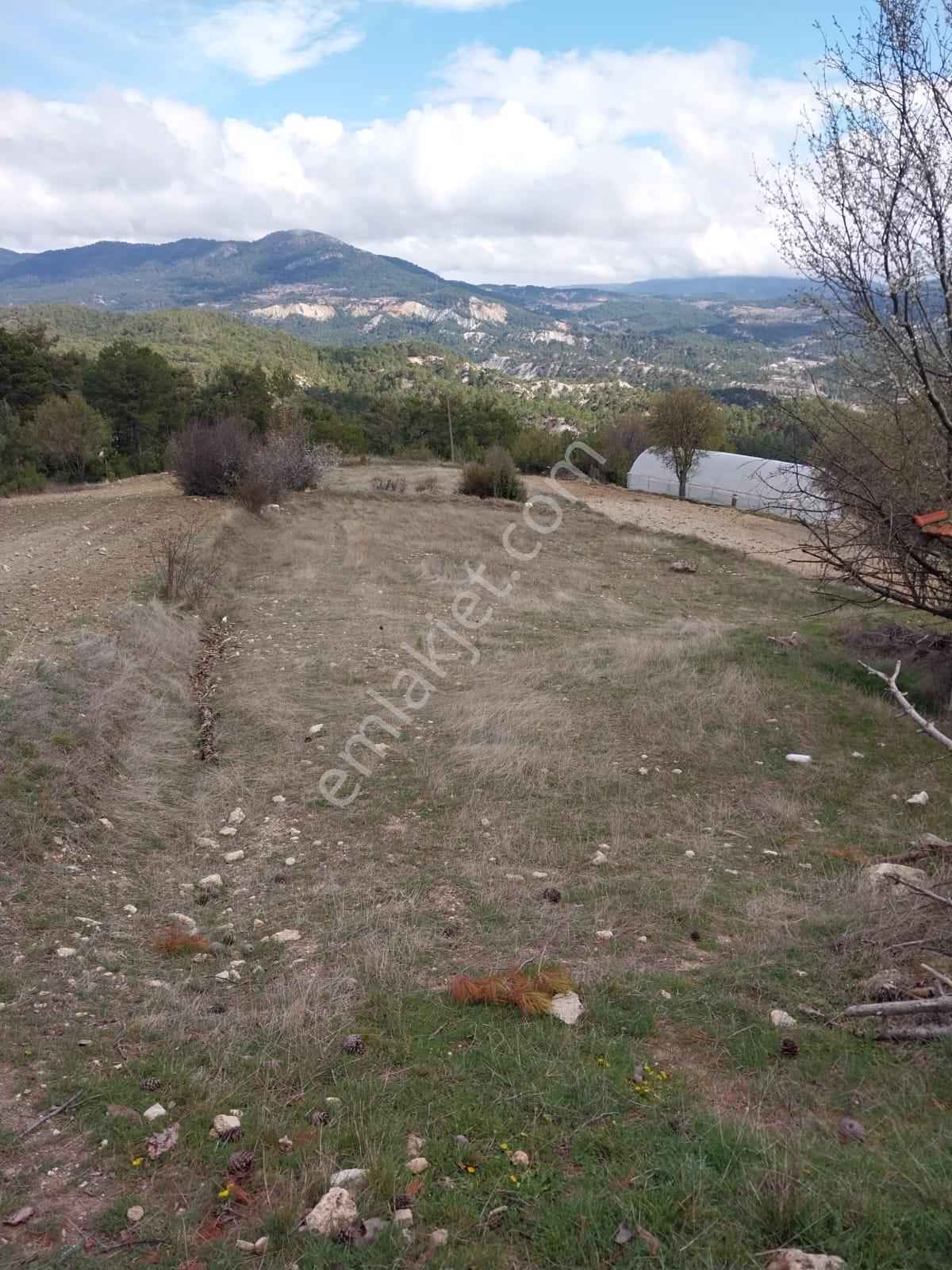 Şahin Emlaktan Çameli Kolakta 1391 M² Satılık Ev Ve Bahçesi - Görsel 10