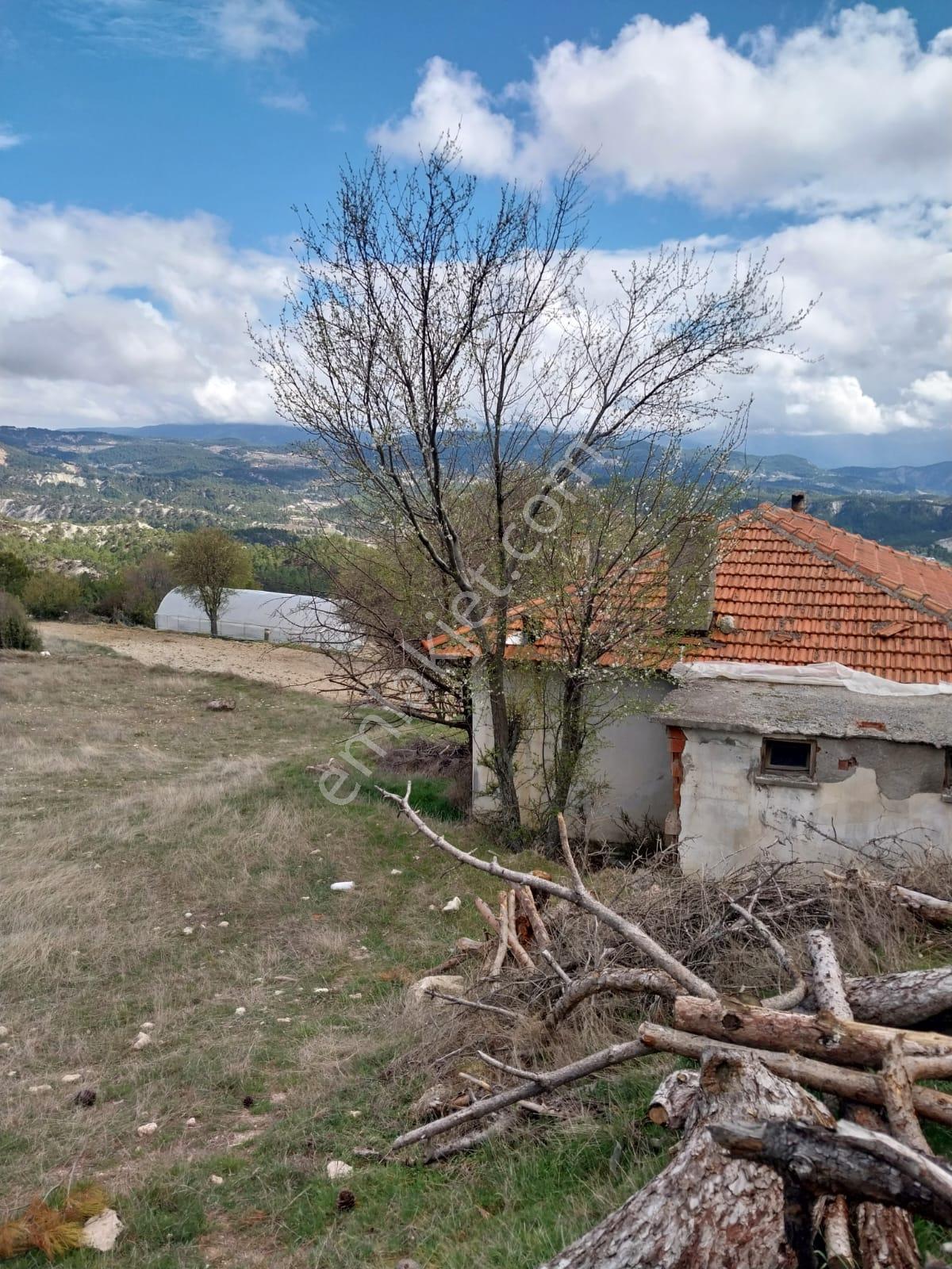 Şahin Emlaktan Çameli Kolakta 1391 M² Satılık Ev Ve Bahçesi - Görsel 6