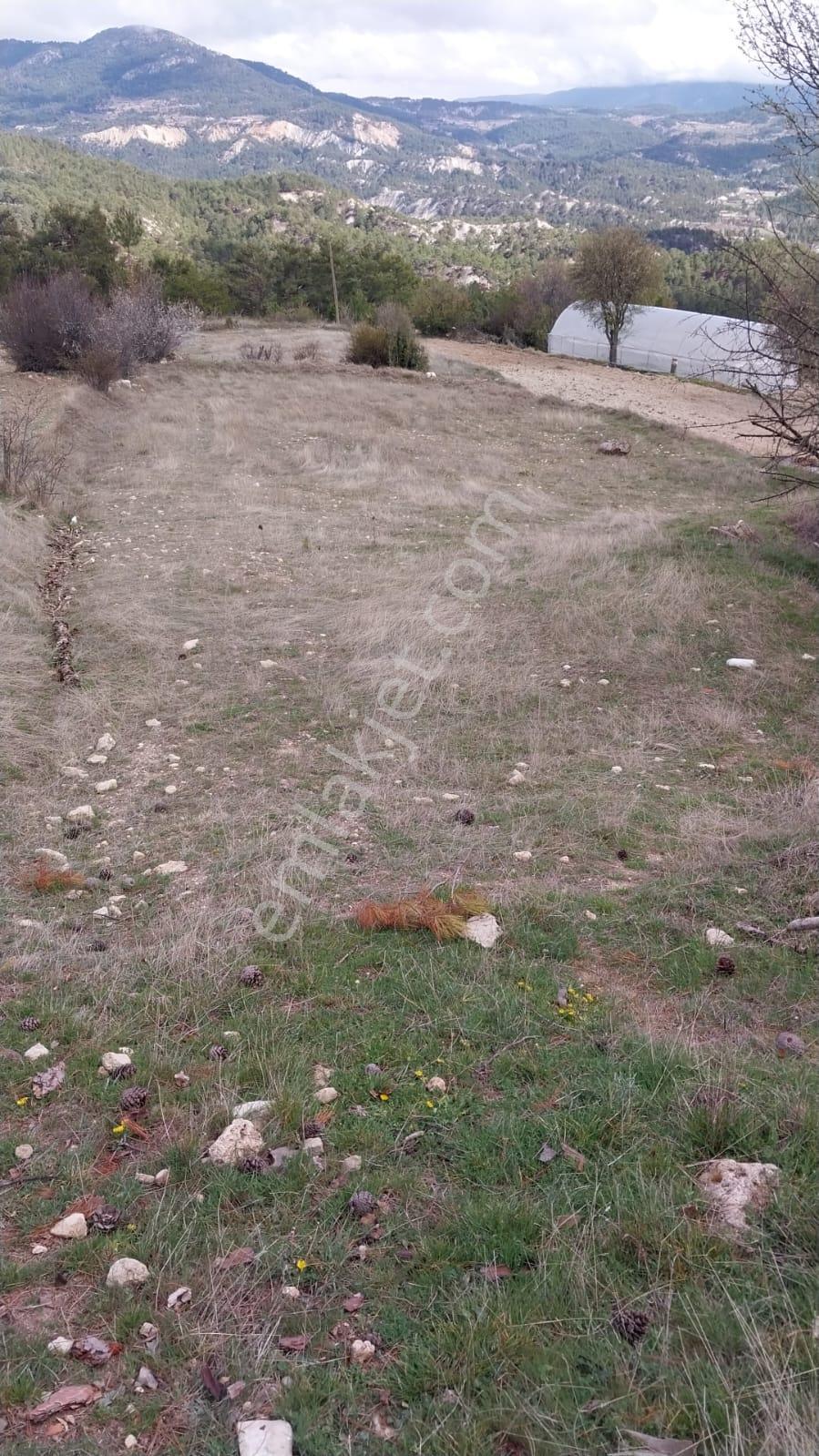Şahin Emlaktan Çameli Kolakta 1391 M² Satılık Ev Ve Bahçesi - Görsel 11