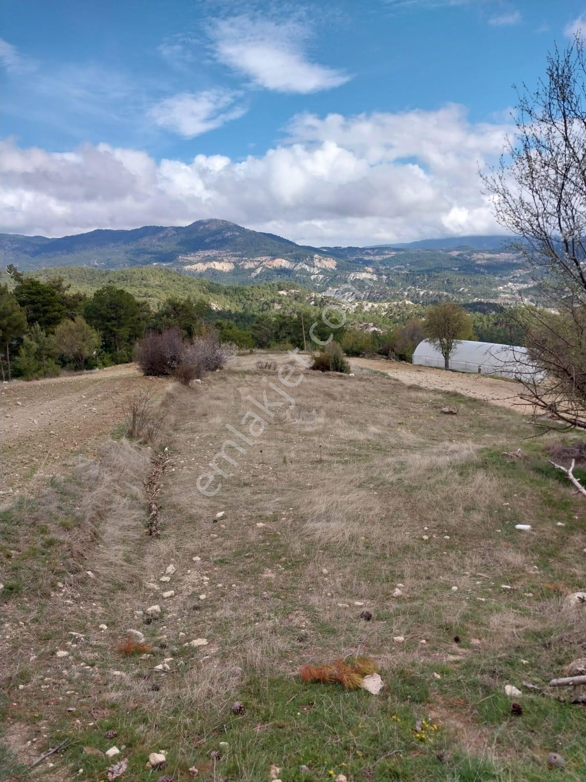 Şahin Emlaktan Çameli Kolakta 1391 M² Satılık Ev Ve Bahçesi - Görsel 13