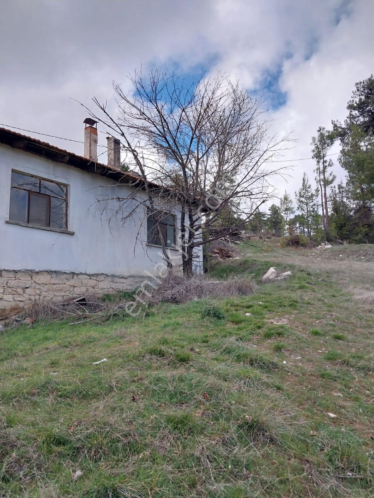Şahin Emlaktan Çameli Kolakta 1391 M² Satılık Ev Ve Bahçesi - Görsel 7