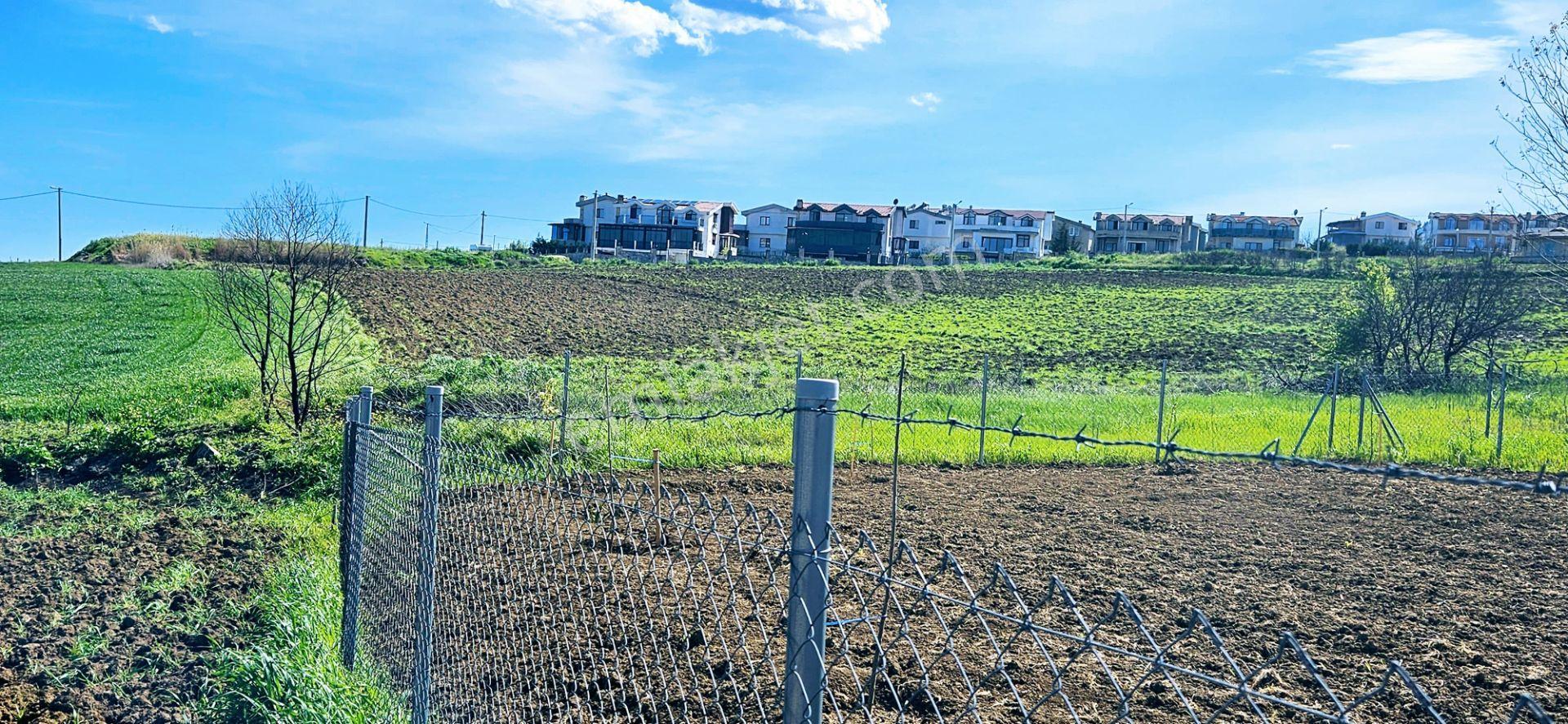 Full Deniz Doğa Ve Şehir Manzaralı 32 Adet Lüxs Villa Projesine Uygun 15.500 M2 Fırsat Arazi - Görsel 4