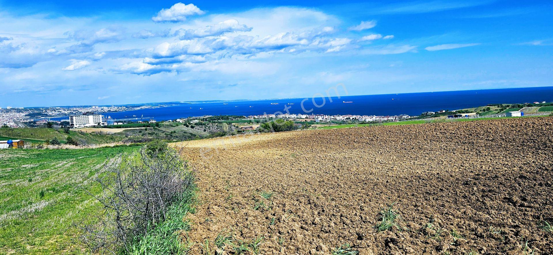 Full Deniz Doğa Ve Şehir Manzaralı 32 Adet Lüxs Villa Projesine Uygun 15.500 M2 Fırsat Arazi - Görsel 5