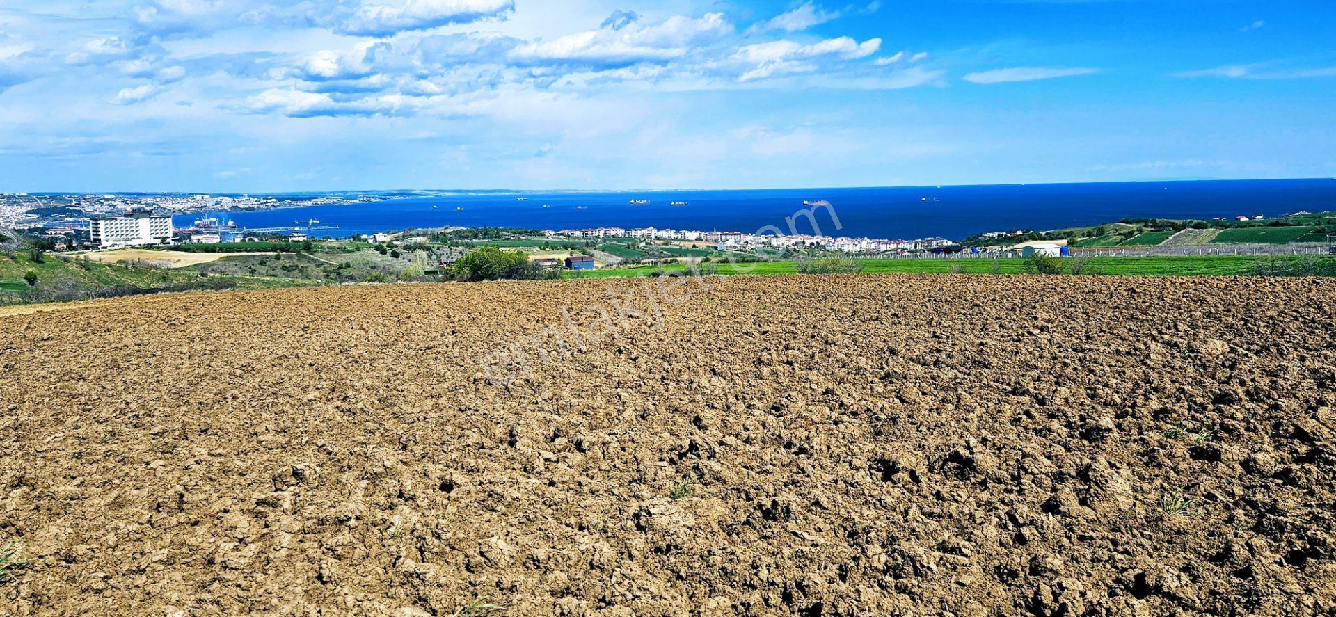 Full Deniz Doğa Ve Şehir Manzaralı 32 Adet Lüxs Villa Projesine Uygun 15.500 M2 Fırsat Arazi - Görsel 24