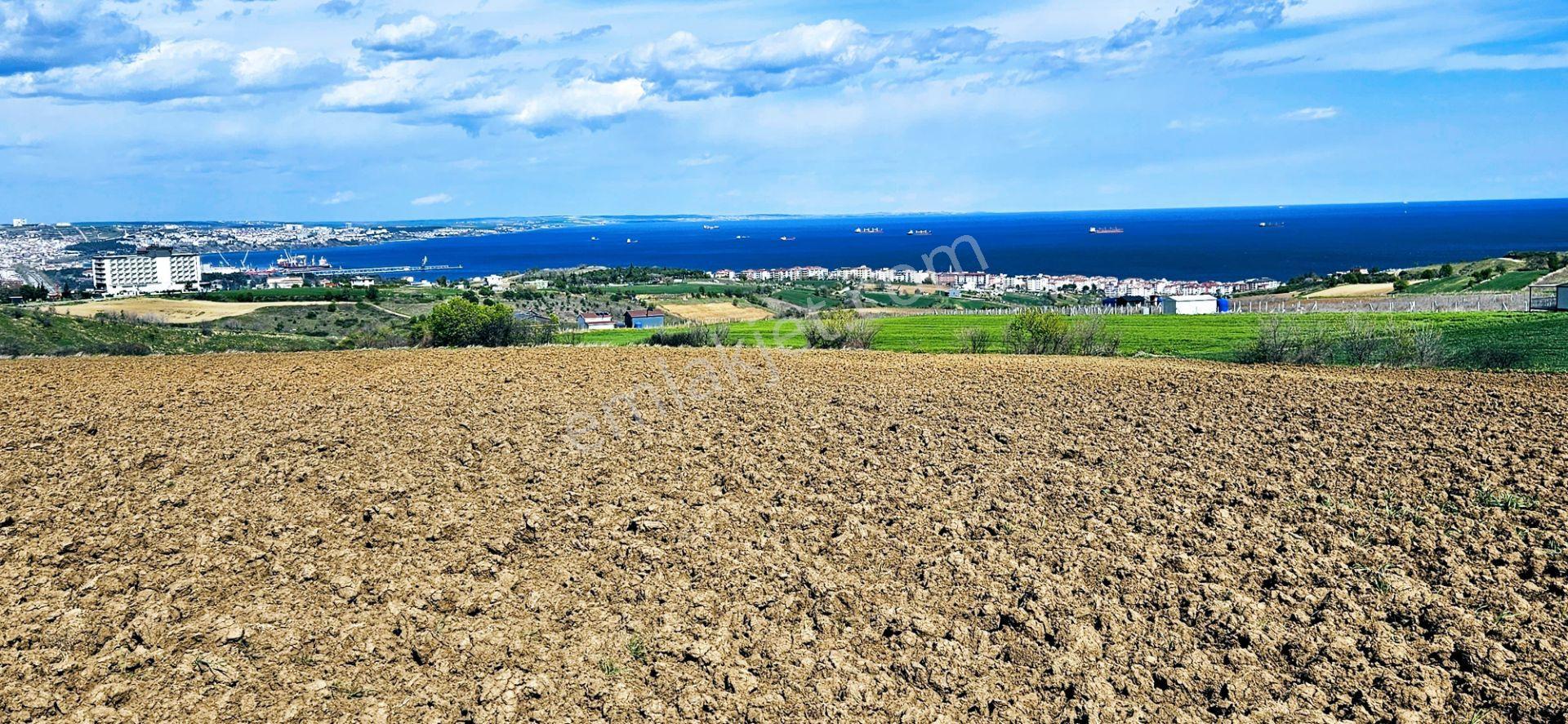 Full Deniz Doğa Ve Şehir Manzaralı 32 Adet Lüxs Villa Projesine Uygun 15.500 M2 Fırsat Arazi - Görsel 20