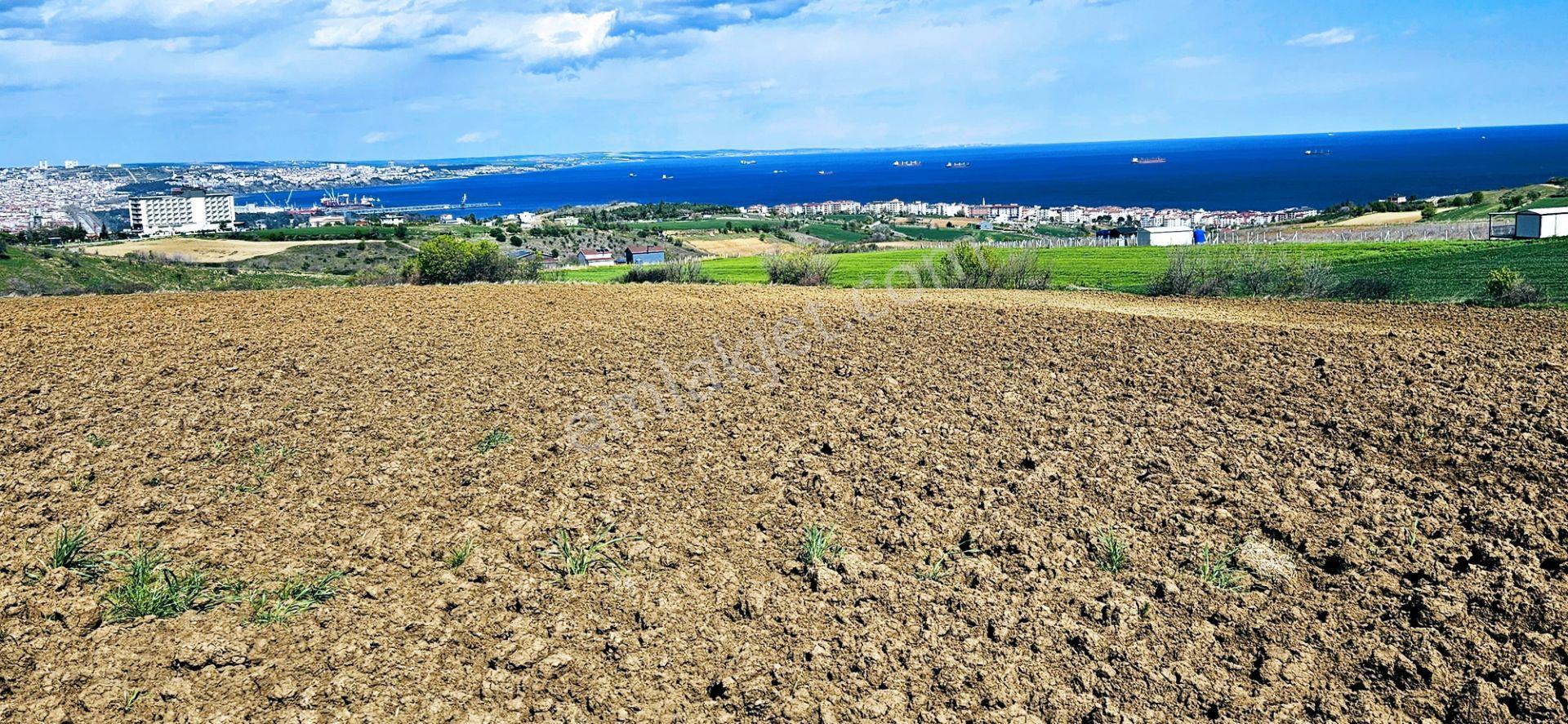 Full Deniz Doğa Ve Şehir Manzaralı 32 Adet Lüxs Villa Projesine Uygun 15.500 M2 Fırsat Arazi - Görsel 16