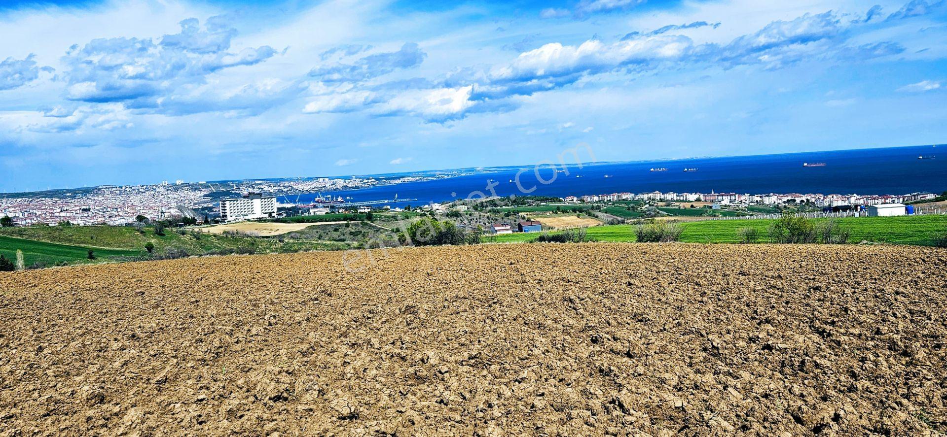 Full Deniz Doğa Ve Şehir Manzaralı 32 Adet Lüxs Villa Projesine Uygun 15.500 M2 Fırsat Arazi - Görsel 14