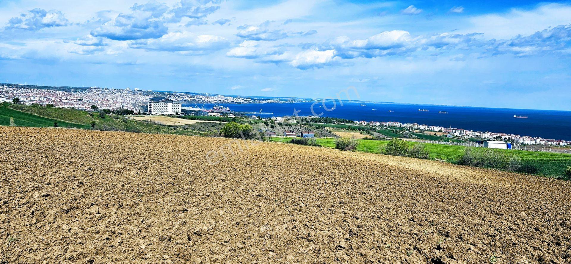 Full Deniz Doğa Ve Şehir Manzaralı 32 Adet Lüxs Villa Projesine Uygun 15.500 M2 Fırsat Arazi - Görsel 18