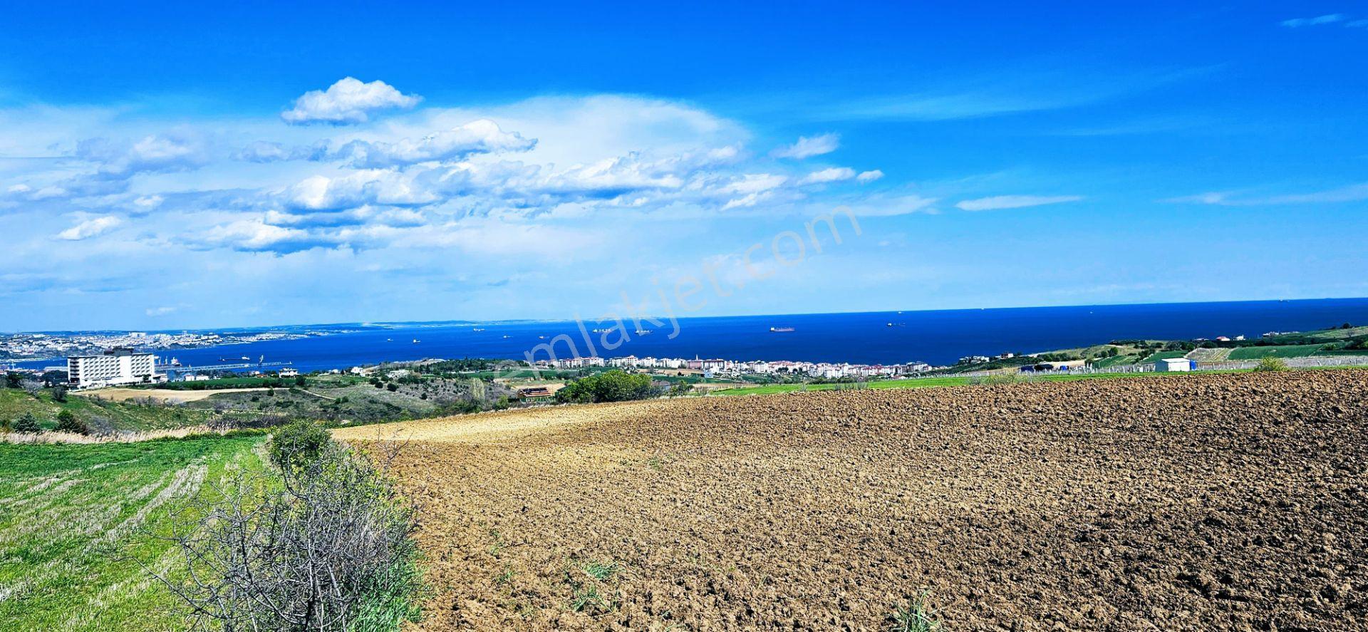 Full Deniz Doğa Ve Şehir Manzaralı 32 Adet Lüxs Villa Projesine Uygun 15.500 M2 Fırsat Arazi - Görsel 2