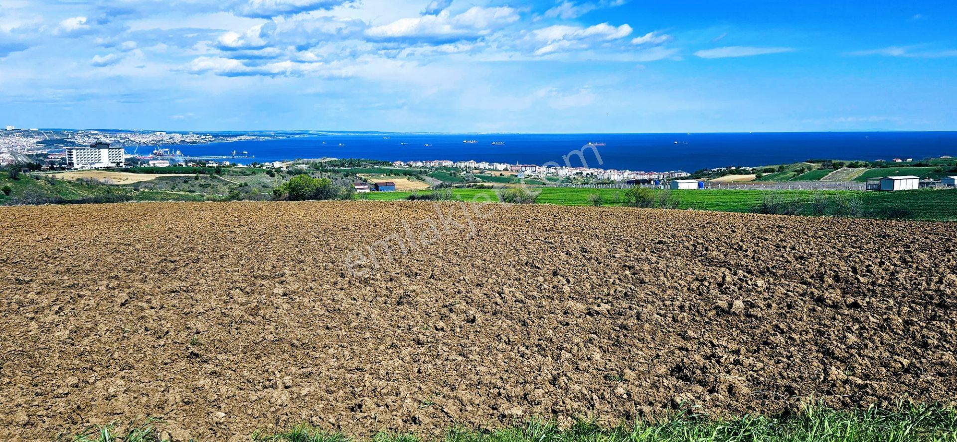 Full Deniz Doğa Ve Şehir Manzaralı 32 Adet Lüxs Villa Projesine Uygun 15.500 M2 Fırsat Arazi - Görsel 22