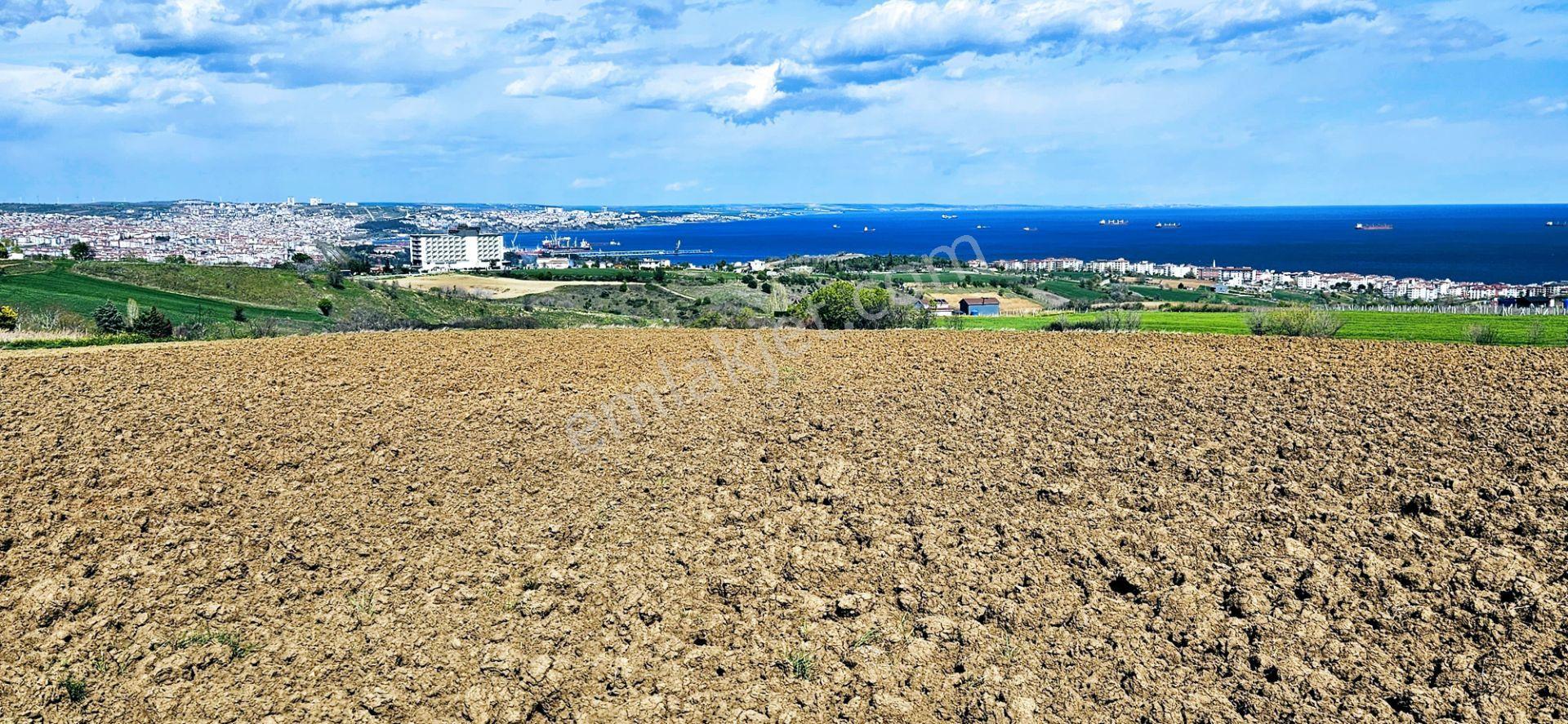 Full Deniz Doğa Ve Şehir Manzaralı 32 Adet Lüxs Villa Projesine Uygun 15.500 M2 Fırsat Arazi - Görsel 7