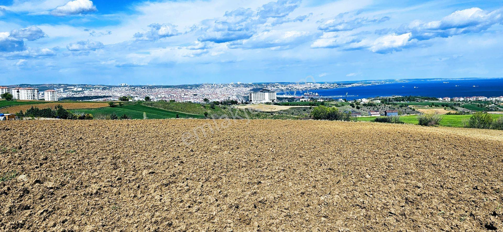 Full Deniz Doğa Ve Şehir Manzaralı 32 Adet Lüxs Villa Projesine Uygun 15.500 M2 Fırsat Arazi - Görsel 15