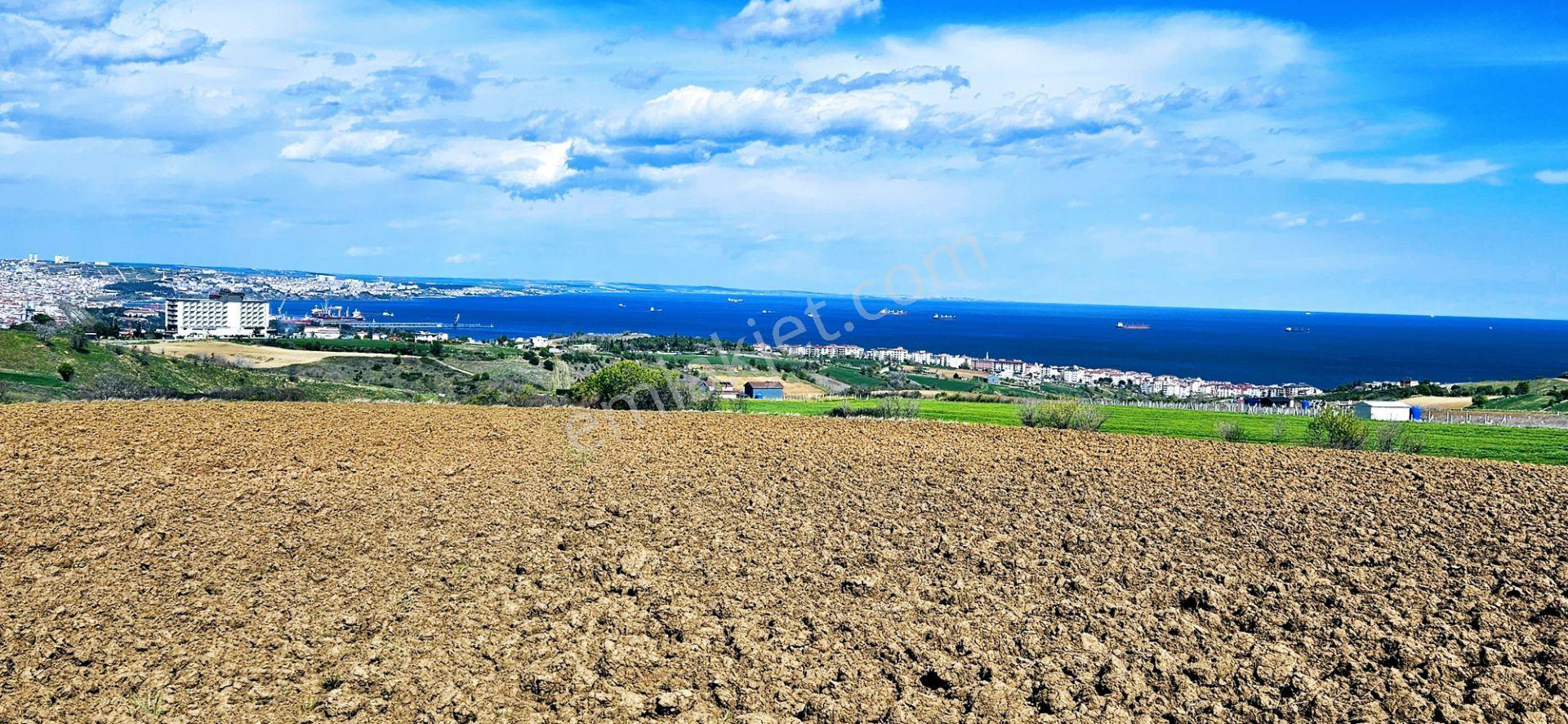 Full Deniz Doğa Ve Şehir Manzaralı 32 Adet Lüxs Villa Projesine Uygun 15.500 M2 Fırsat Arazi - Görsel 11