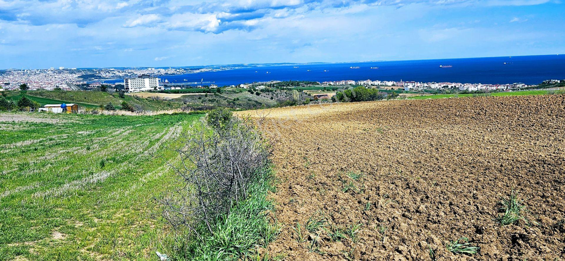 Full Deniz Doğa Ve Şehir Manzaralı 32 Adet Lüxs Villa Projesine Uygun 15.500 M2 Fırsat Arazi - Görsel 8