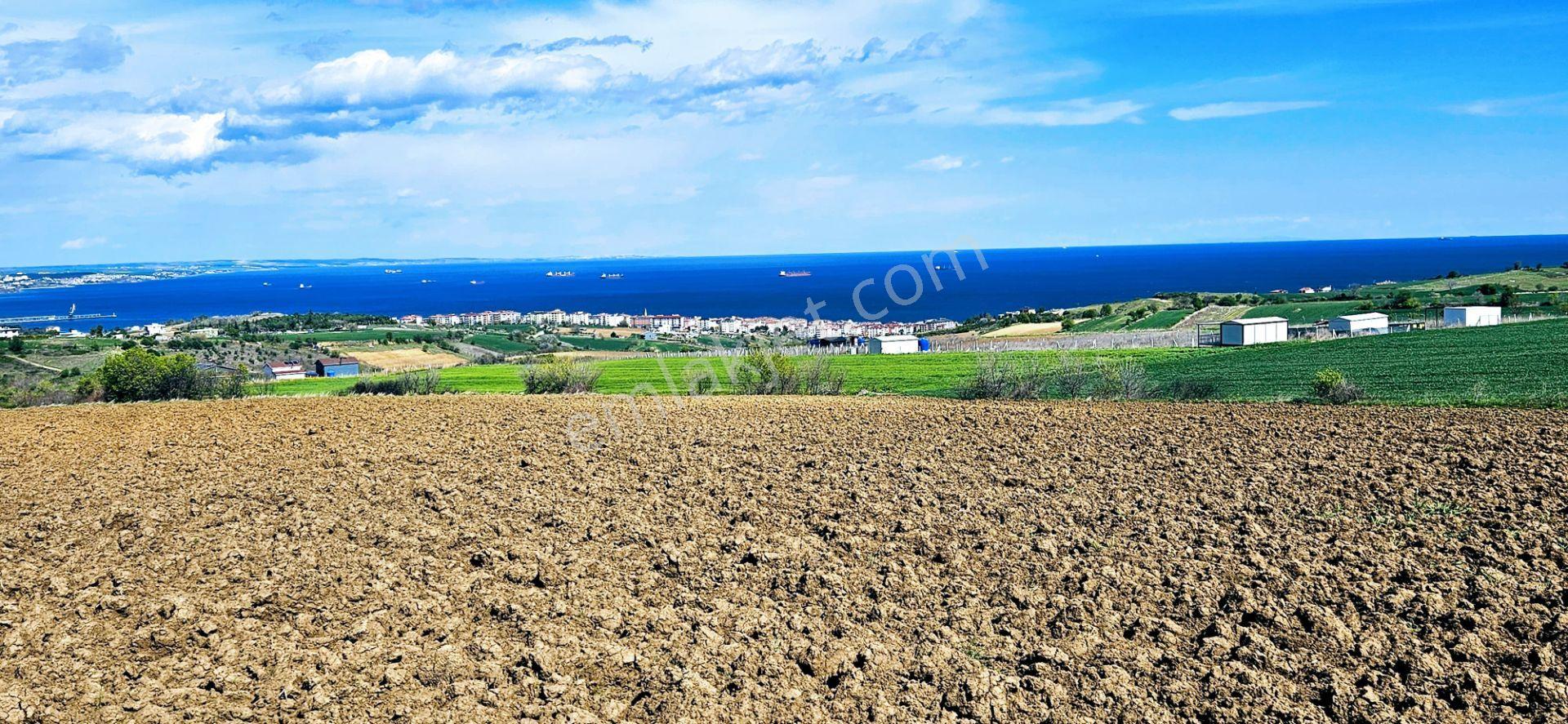 Full Deniz Doğa Ve Şehir Manzaralı 32 Adet Lüxs Villa Projesine Uygun 15.500 M2 Fırsat Arazi - Görsel 13