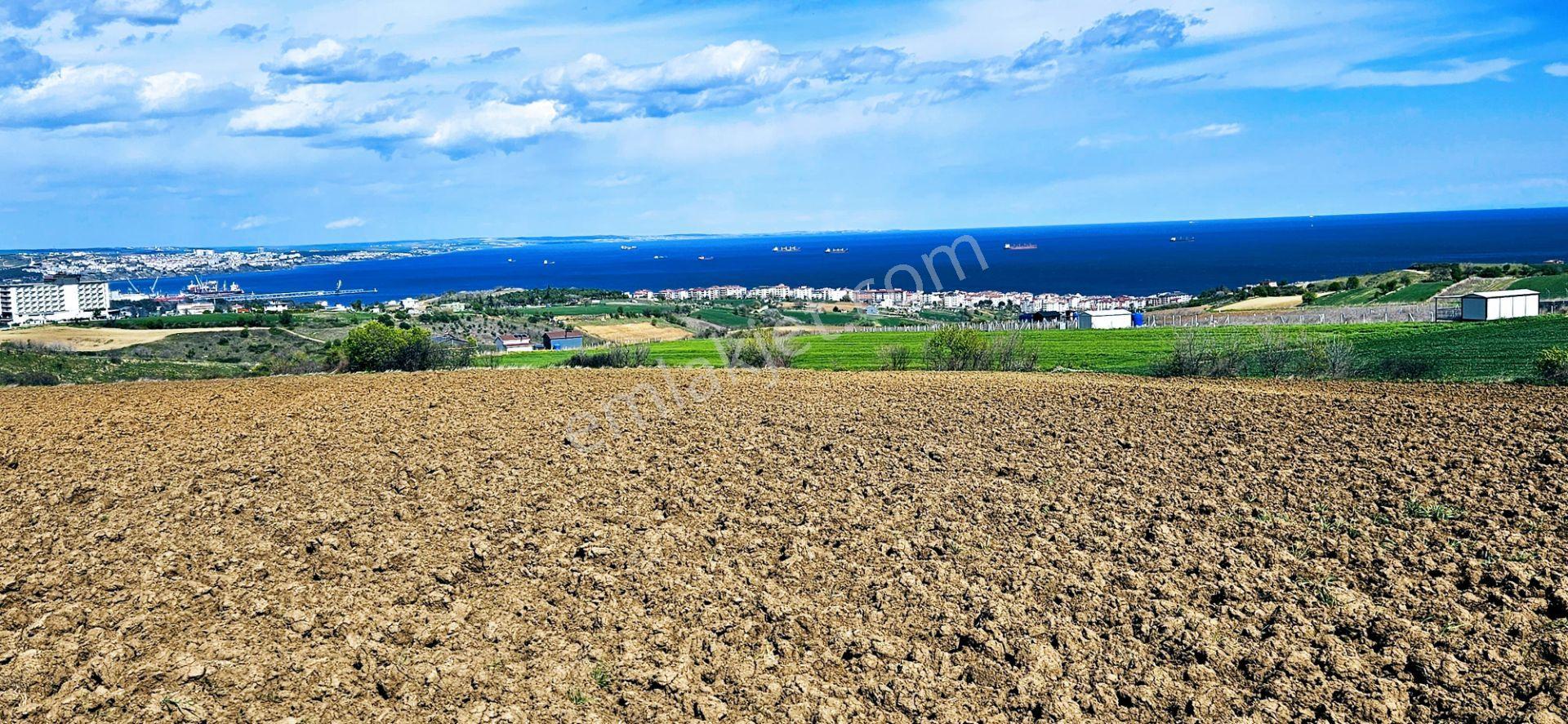 Full Deniz Doğa Ve Şehir Manzaralı 32 Adet Lüxs Villa Projesine Uygun 15.500 M2 Fırsat Arazi - Görsel 19