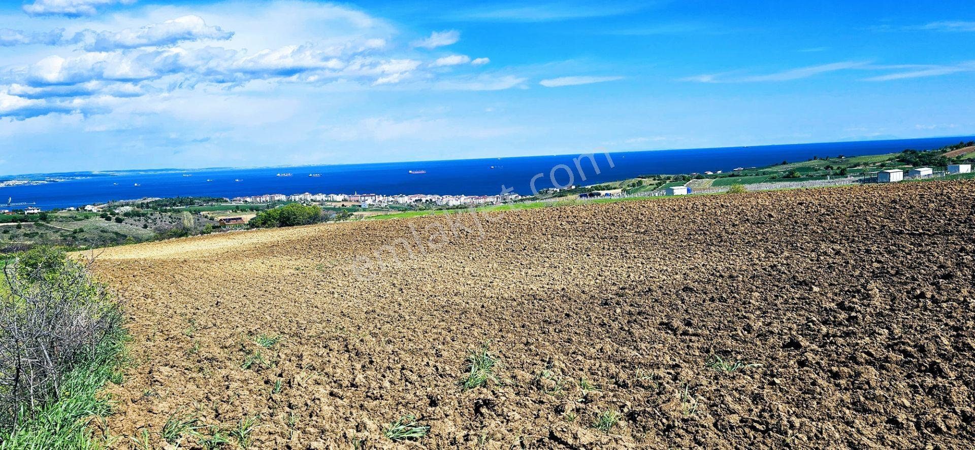 Full Deniz Doğa Ve Şehir Manzaralı 32 Adet Lüxs Villa Projesine Uygun 15.500 M2 Fırsat Arazi - Görsel 3