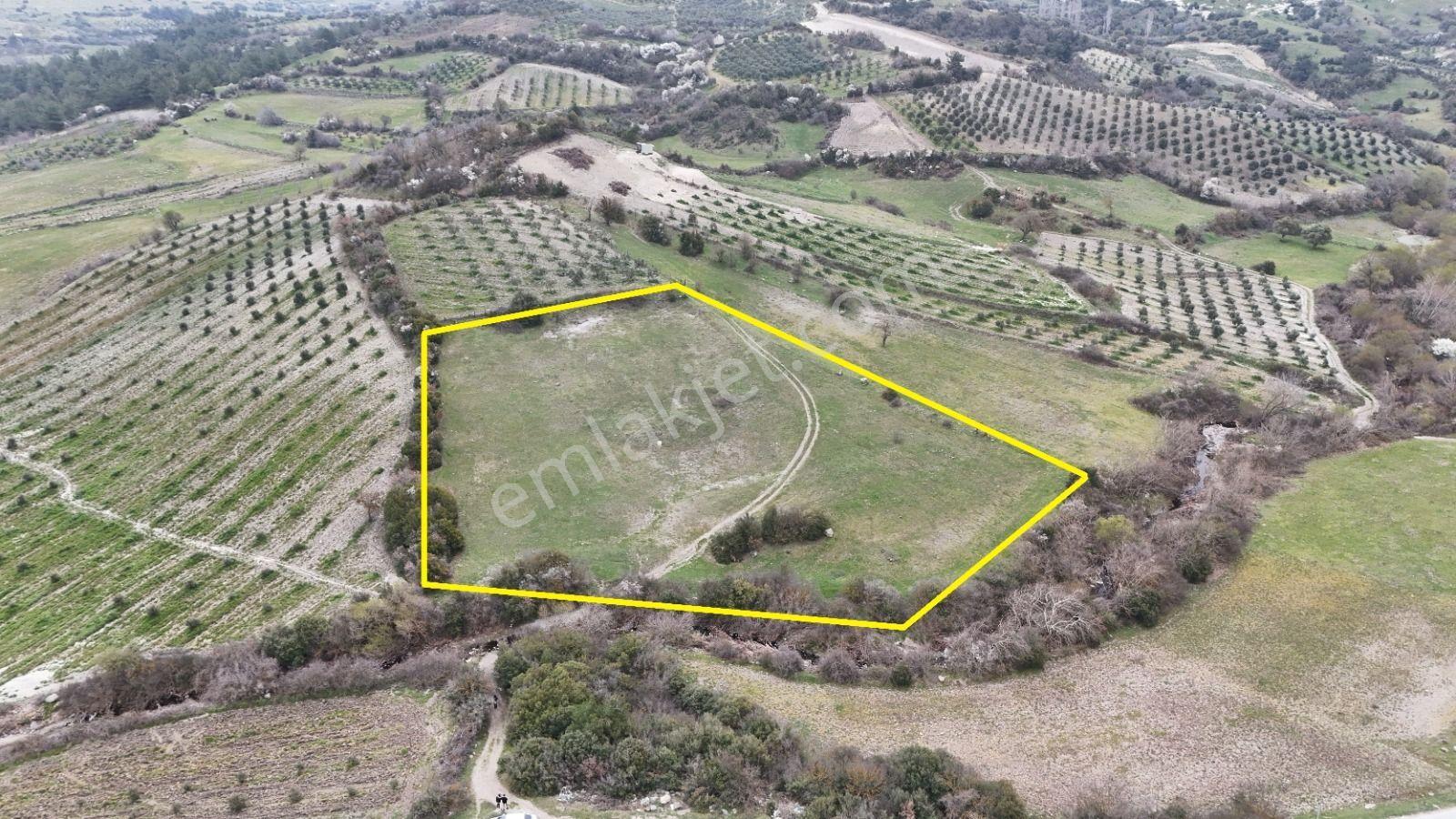 Akhisar Arabacıbozköyde 7.350 M² Tek Tapu Yatırımlık Tarla - Görsel 4