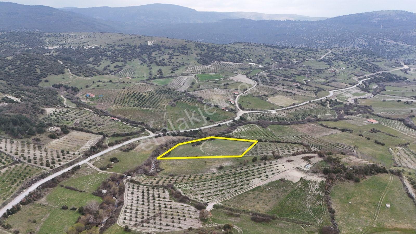 Akhisar Arabacıbozköyde 7.350 M² Tek Tapu Yatırımlık Tarla