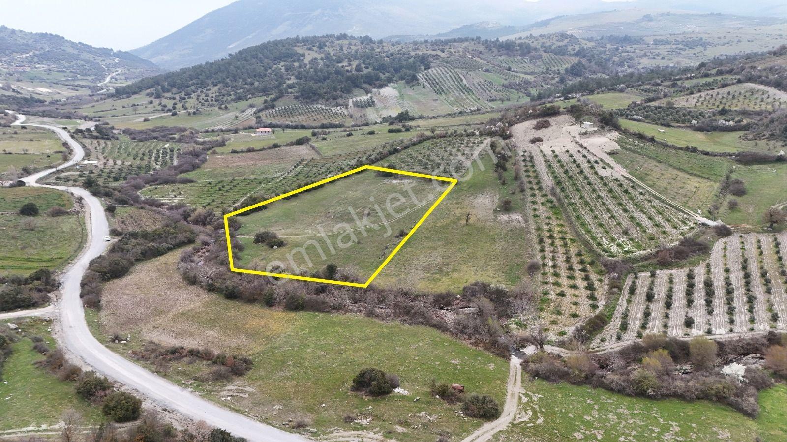 Akhisar Arabacıbozköyde 7.350 M² Tek Tapu Yatırımlık Tarla - Görsel 7