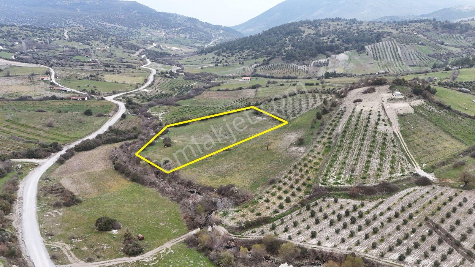 Akhisar Arabacıbozköyde 7.350 M² Tek Tapu Yatırımlık Tarla - Görsel 8