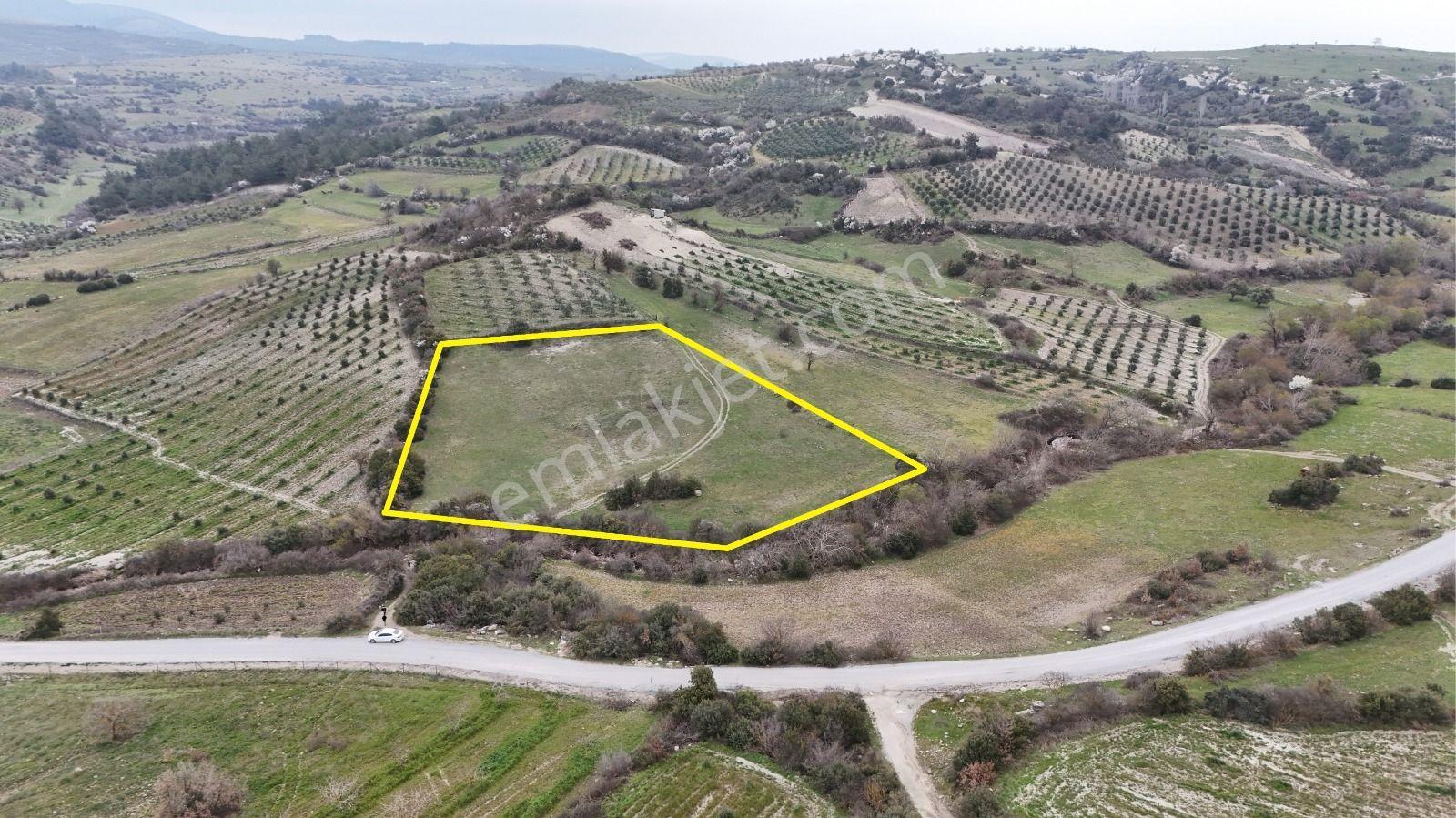 Akhisar Arabacıbozköyde 7.350 M² Tek Tapu Yatırımlık Tarla - Görsel 5