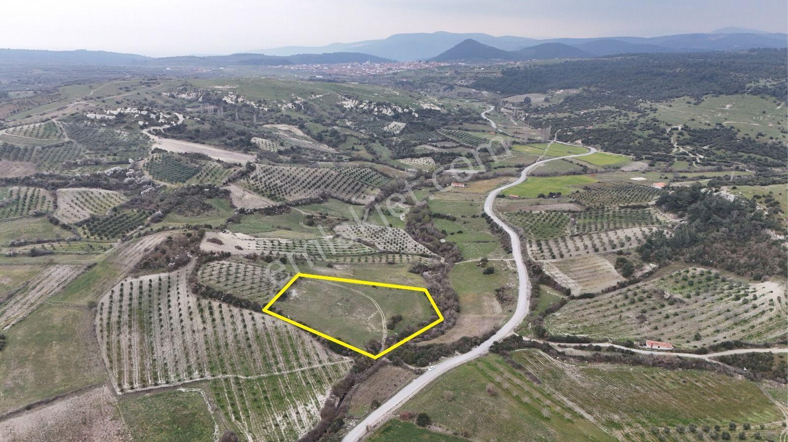 Akhisar Arabacıbozköyde 7.350 M² Tek Tapu Yatırımlık Tarla - Görsel 2