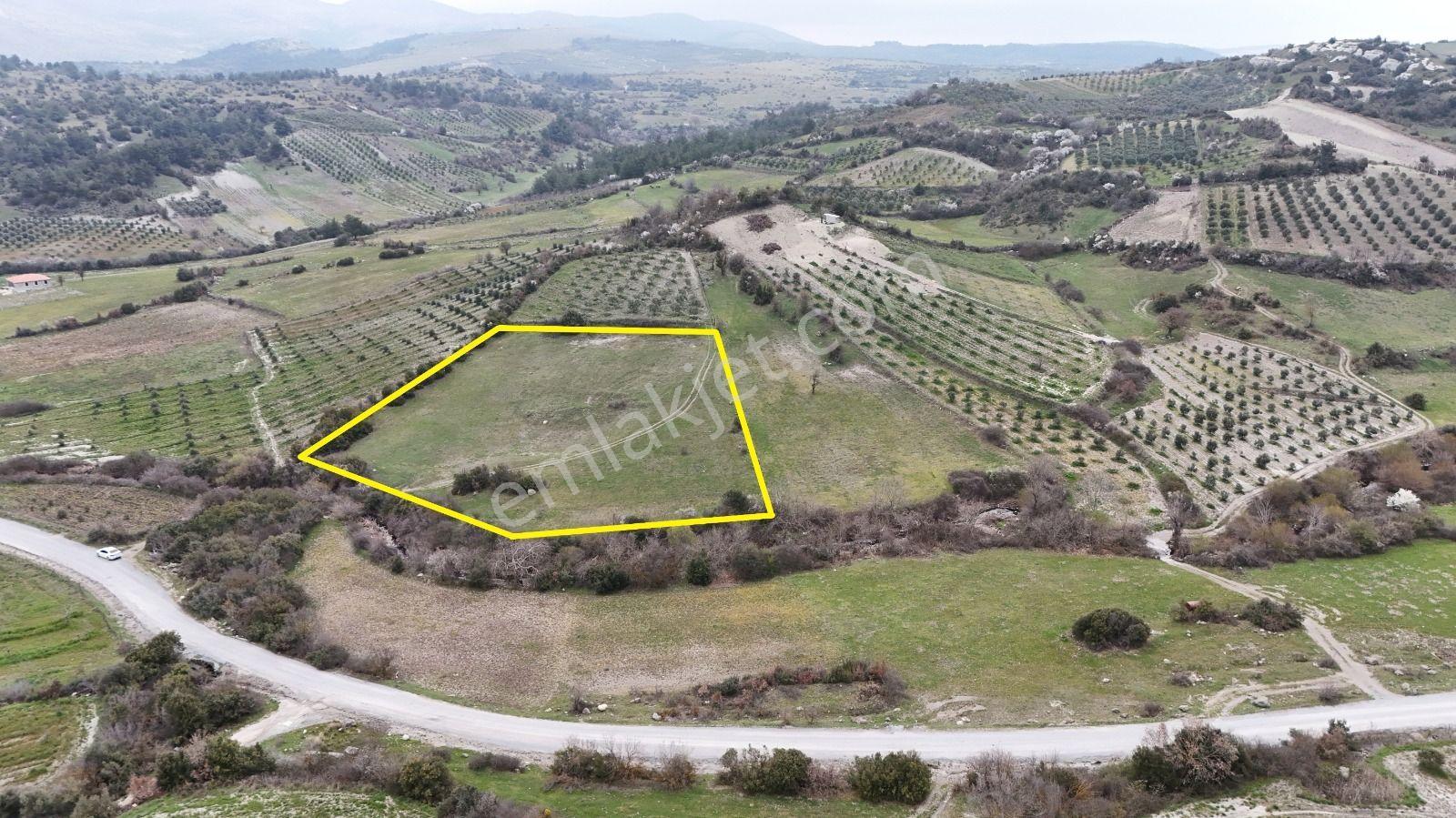 Akhisar Arabacıbozköyde 7.350 M² Tek Tapu Yatırımlık Tarla - Görsel 6