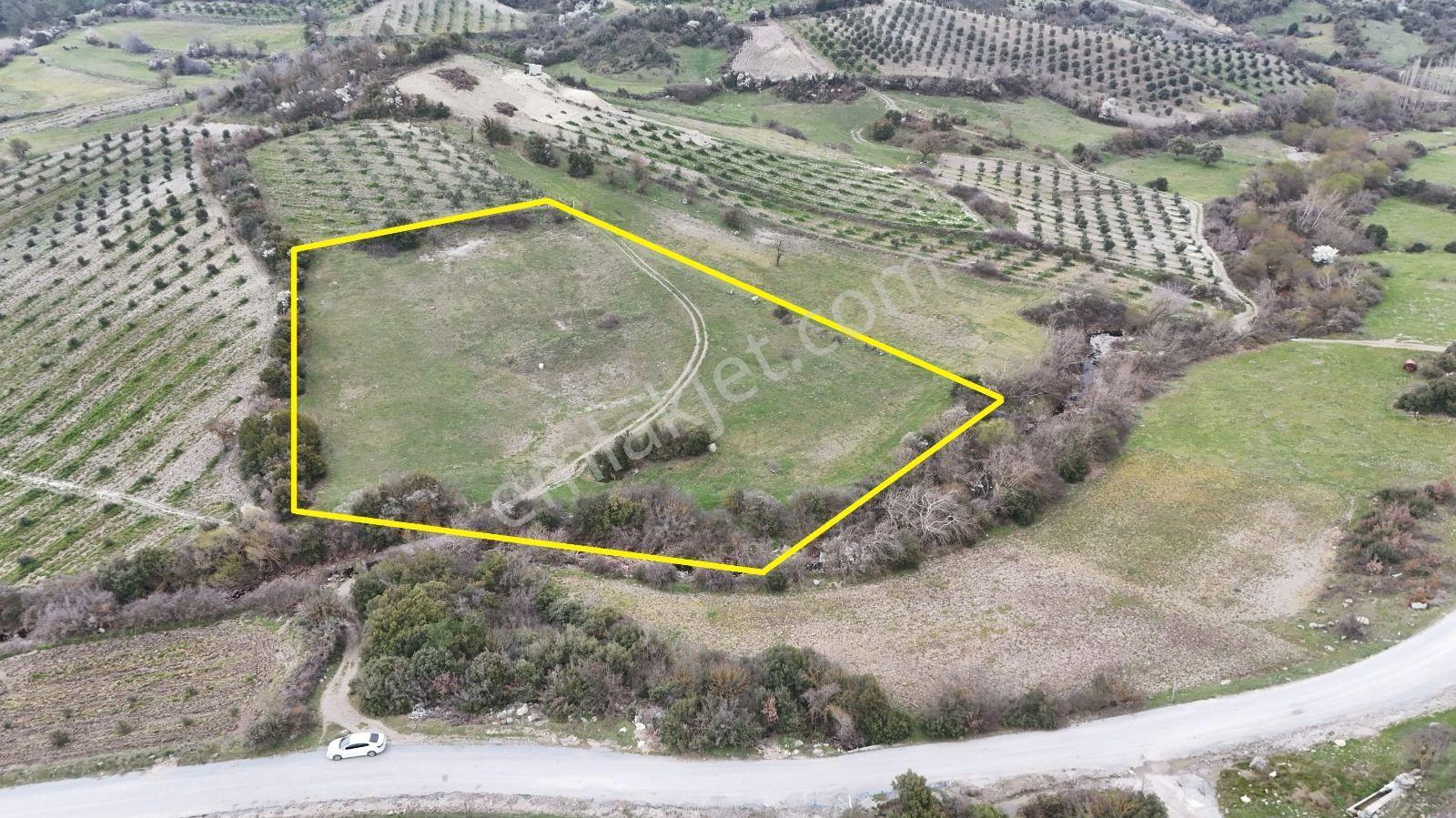 Akhisar Arabacıbozköyde 7.350 M² Tek Tapu Yatırımlık Tarla - Görsel 3