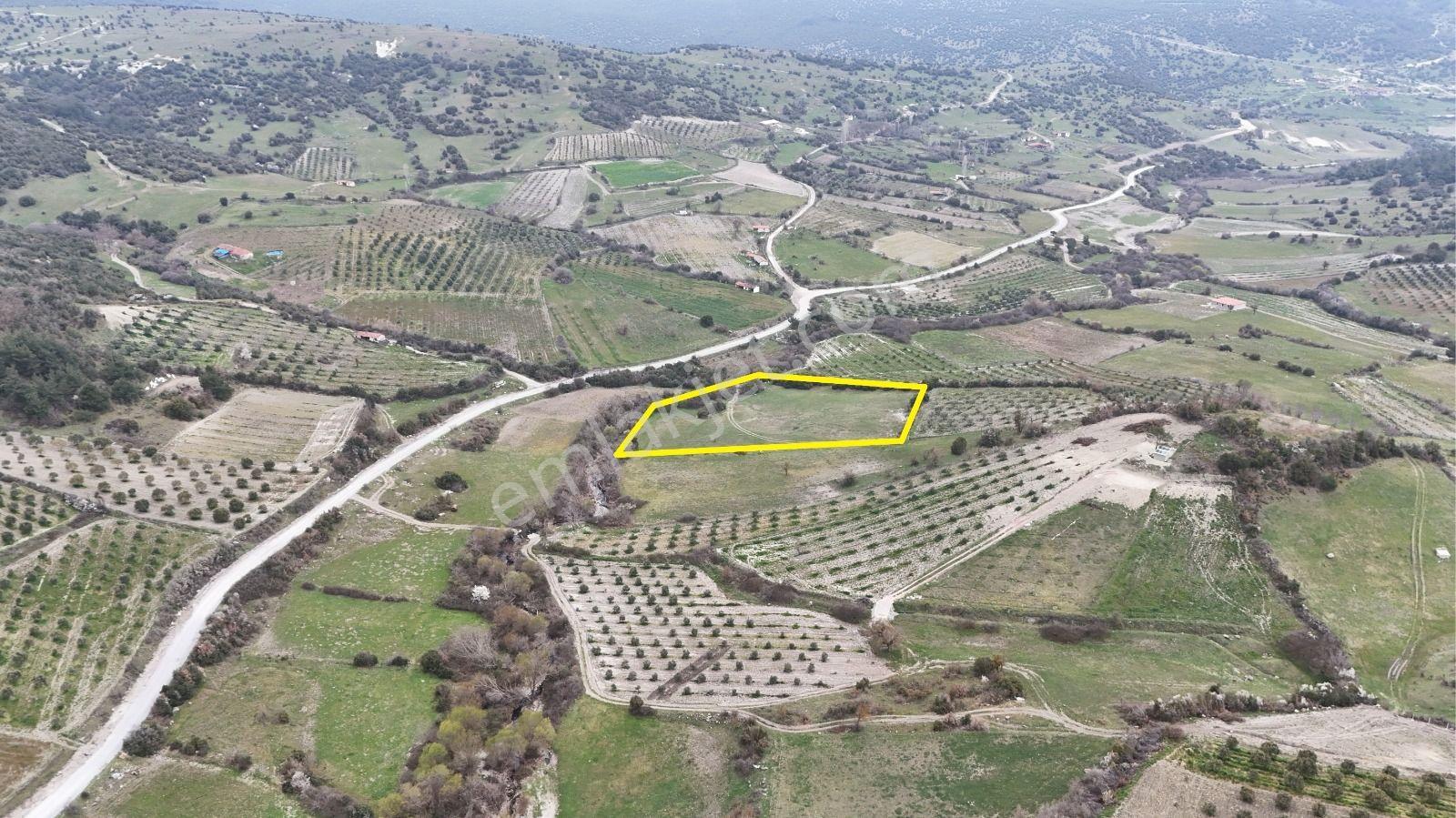 Akhisar Arabacıbozköyde 7.350 M² Tek Tapu Yatırımlık Tarla - Görsel 11