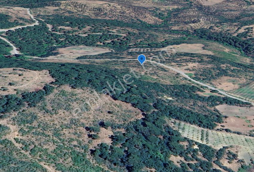 Balıkesir Havran Çamlıçeşme Mevkiin' De Satılık 33,543 M² Tarla - Görsel 2