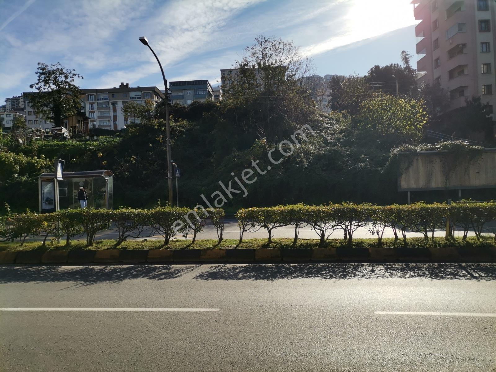 2nl.beşirli Mah. Kiralık Giriş Kat Daire 2+1 Doğalgazlı - Görsel 32