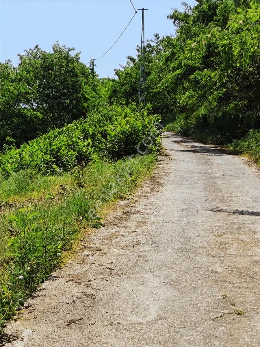 Trabzon Ayvalı Mah. Satılık Arsa 446 Metrekare - Görsel 2