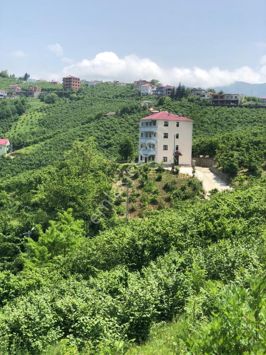 Trabzon Ayvalı Mah. Satılık Arsa 446 Metrekare