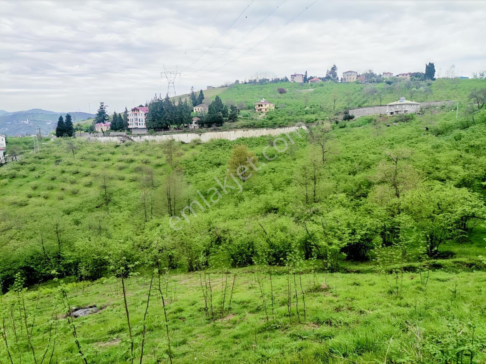 Uğurlu Da Satılık Arazi 1.345 Metrekare - Görsel 8