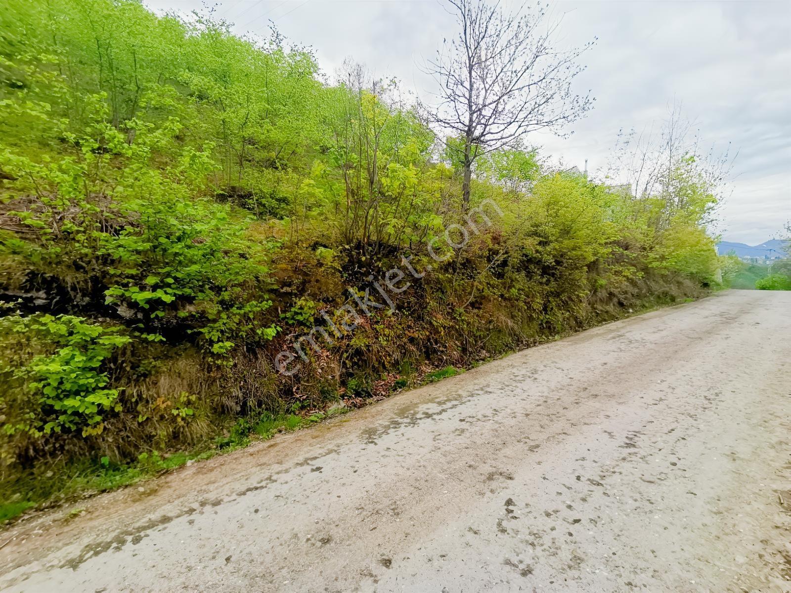 Uğurlu Da Satılık Arazi 1.345 Metrekare - Görsel 10