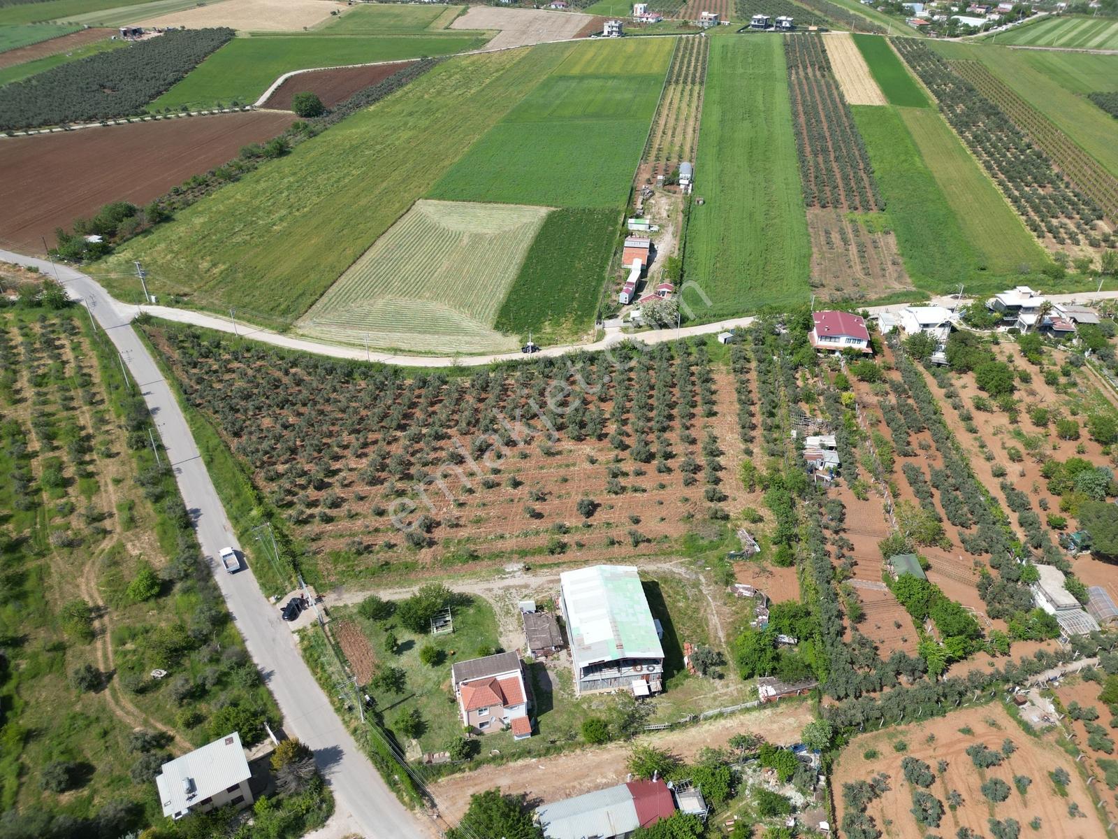 Q'zen Den Üç Tarafı Yol 2 Katlı Evi Olan 12420 M2 Tarla