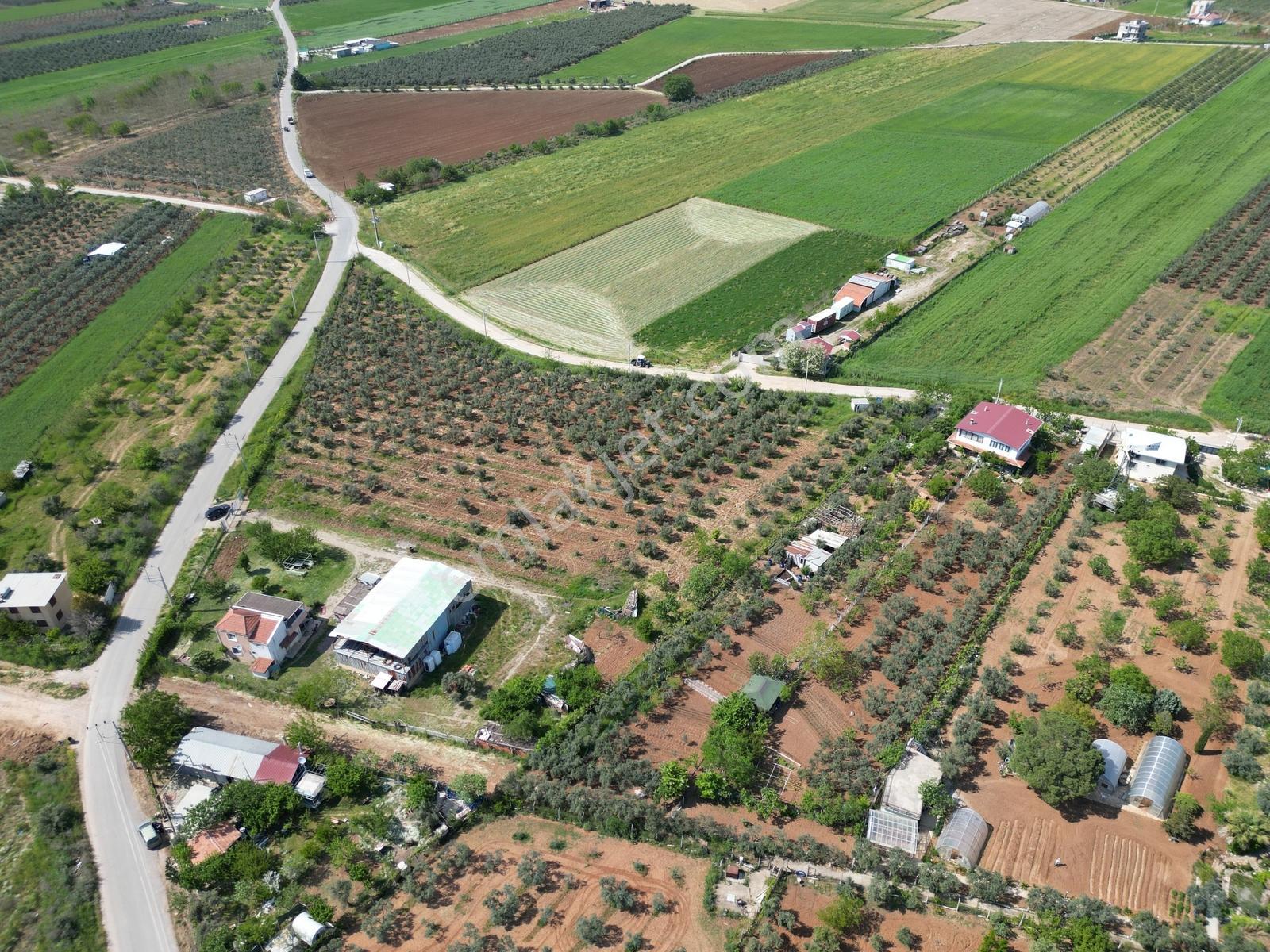 Q'zen Den Üç Tarafı Yol 2 Katlı Evi Olan 12420 M2 Tarla - Görsel 11